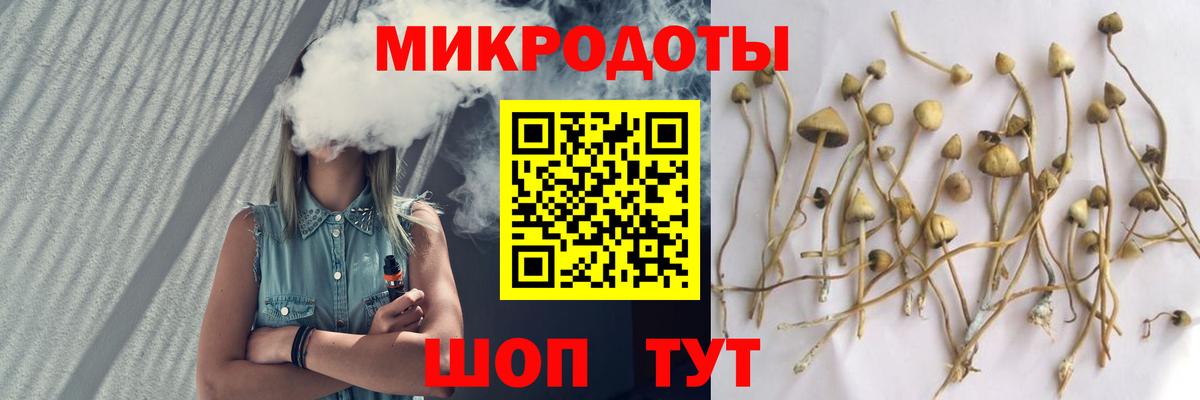 Сыктывкар  Псилоцибиновые грибы ЛСД  закладка  Псилоцибиновые грибы MAGIC MUSHROOMS  Вход с VPN 