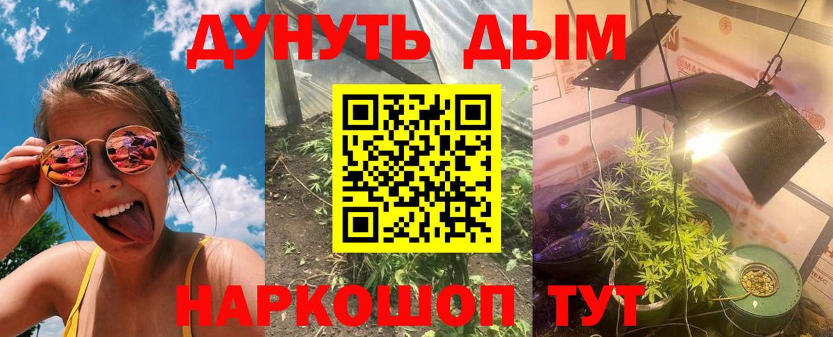 Канабис SATIVA & INDICA Сыктывкар
